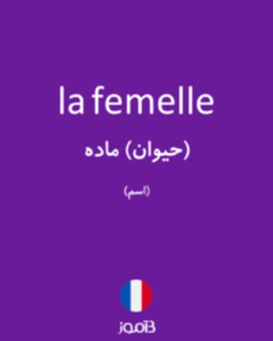  تصویر la femelle - دیکشنری انگلیسی بیاموز