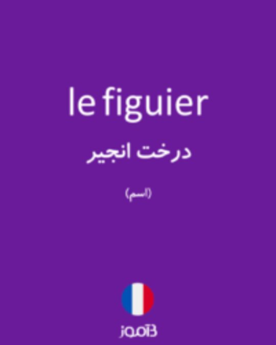  تصویر le figuier - دیکشنری انگلیسی بیاموز