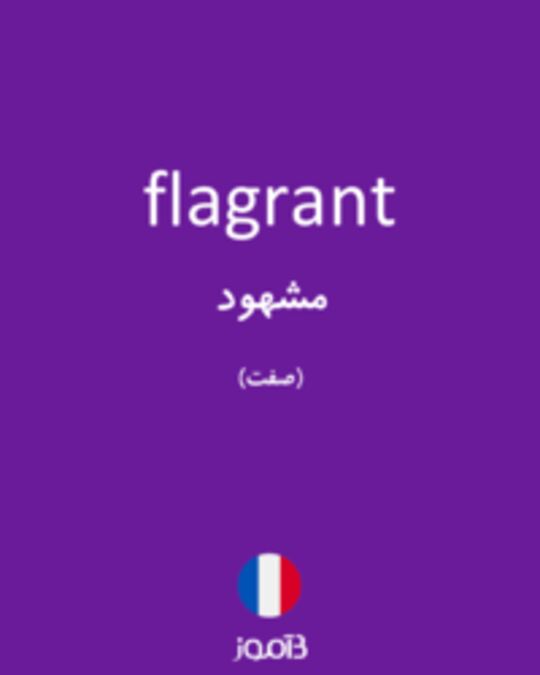  تصویر flagrant - دیکشنری انگلیسی بیاموز