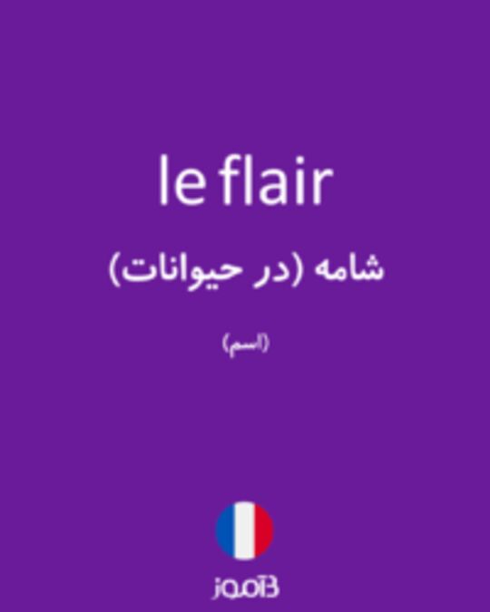  تصویر le flair - دیکشنری انگلیسی بیاموز