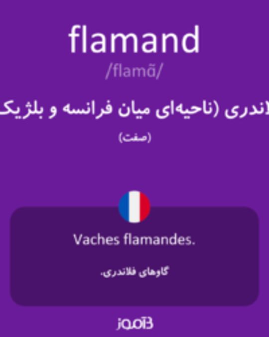  تصویر flamand - دیکشنری انگلیسی بیاموز