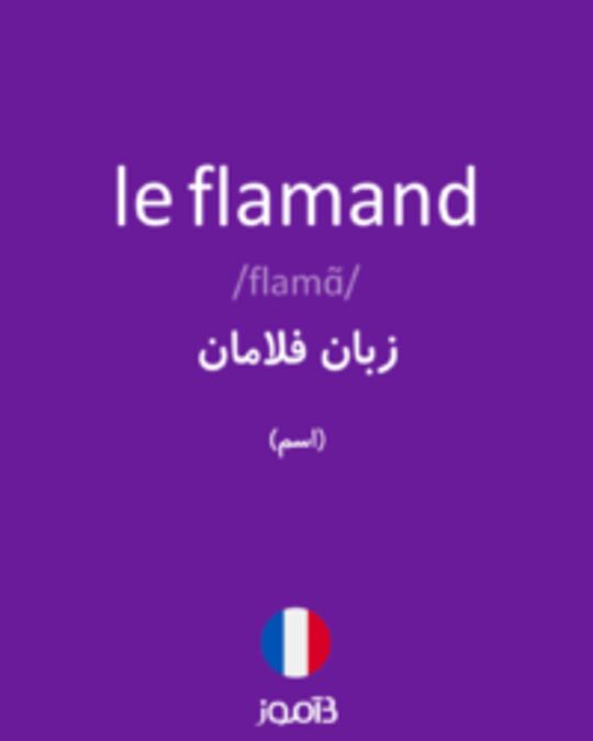  تصویر le flamand - دیکشنری انگلیسی بیاموز