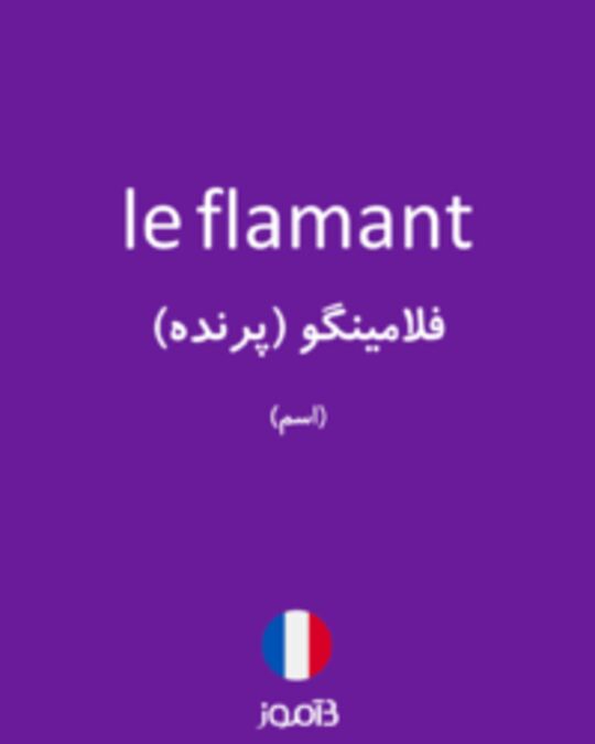  تصویر le flamant - دیکشنری انگلیسی بیاموز