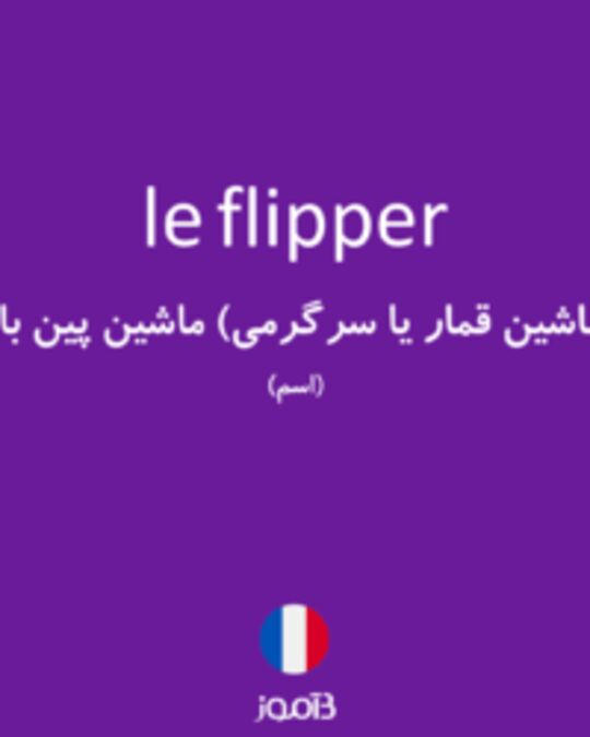  تصویر le flipper - دیکشنری انگلیسی بیاموز