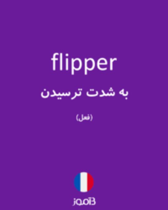  تصویر flipper - دیکشنری انگلیسی بیاموز