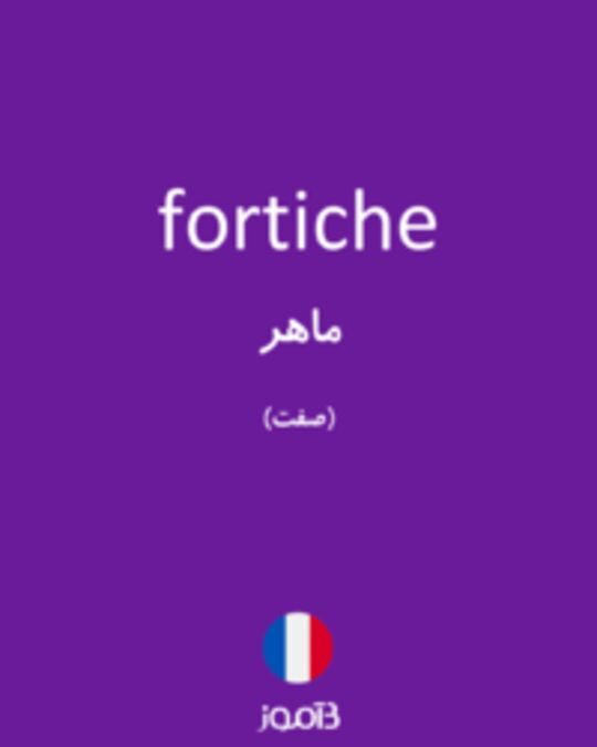  تصویر fortiche - دیکشنری انگلیسی بیاموز