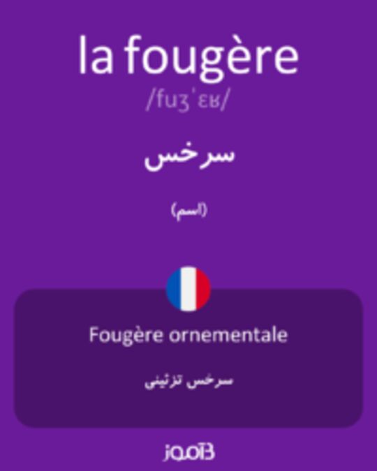  تصویر la fougère - دیکشنری انگلیسی بیاموز