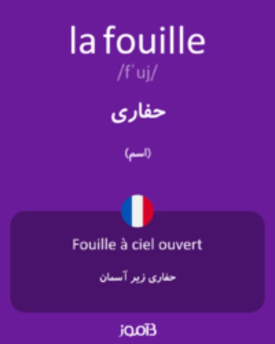  تصویر la fouille - دیکشنری انگلیسی بیاموز