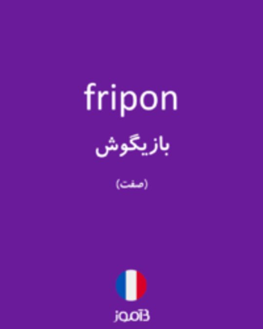  تصویر fripon - دیکشنری انگلیسی بیاموز