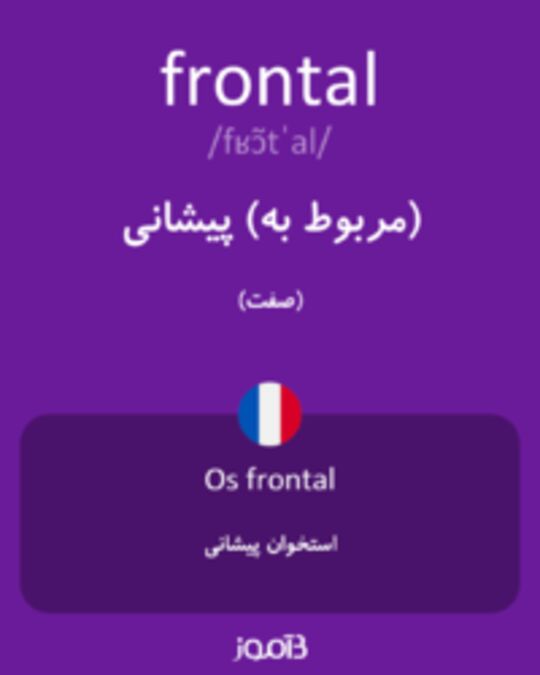  تصویر frontal - دیکشنری انگلیسی بیاموز