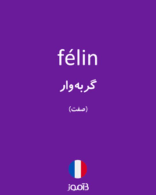  تصویر félin - دیکشنری انگلیسی بیاموز