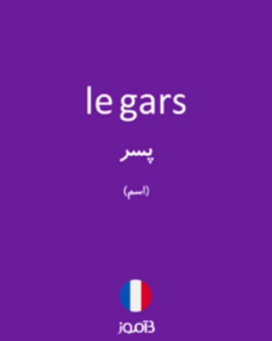  تصویر le gars - دیکشنری انگلیسی بیاموز