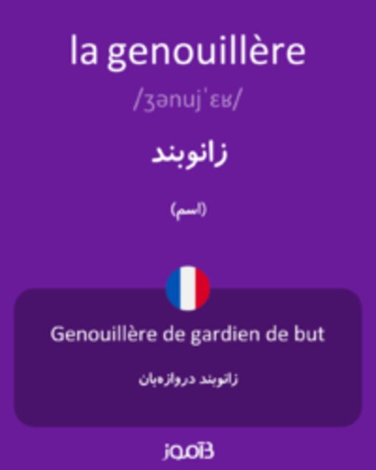  تصویر la genouillère - دیکشنری انگلیسی بیاموز