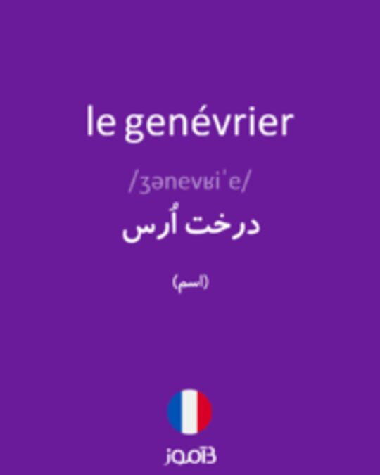  تصویر le genévrier - دیکشنری انگلیسی بیاموز