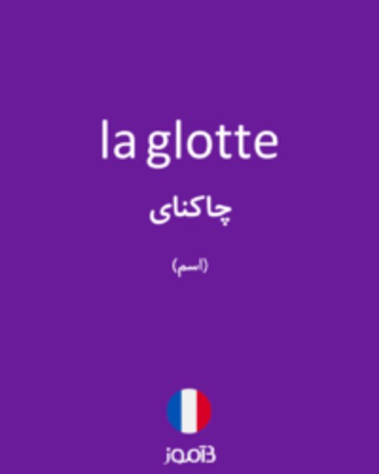  تصویر la glotte - دیکشنری انگلیسی بیاموز