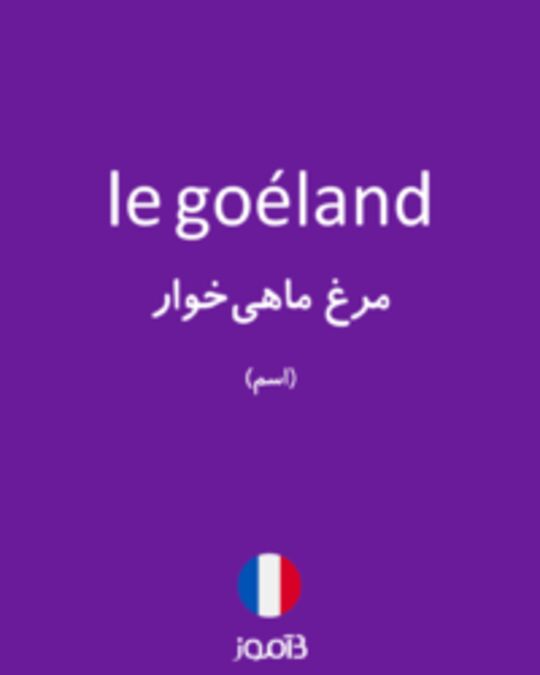  تصویر le goéland - دیکشنری انگلیسی بیاموز