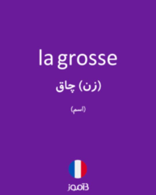  تصویر la grosse - دیکشنری انگلیسی بیاموز