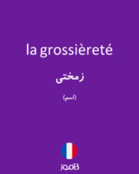  تصویر la grossièreté - دیکشنری انگلیسی بیاموز