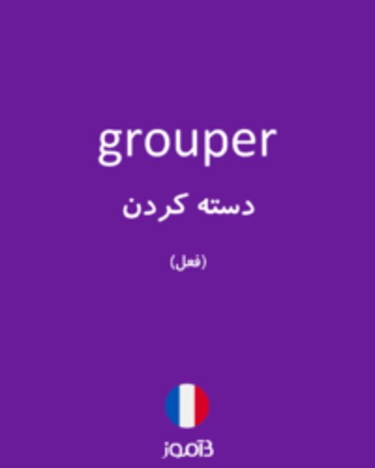  تصویر grouper - دیکشنری انگلیسی بیاموز