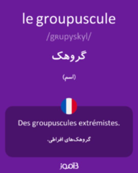  تصویر le groupuscule - دیکشنری انگلیسی بیاموز