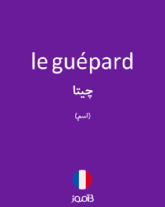  تصویر le guépard - دیکشنری انگلیسی بیاموز