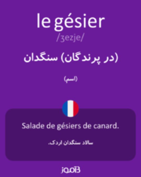  تصویر le gésier - دیکشنری انگلیسی بیاموز