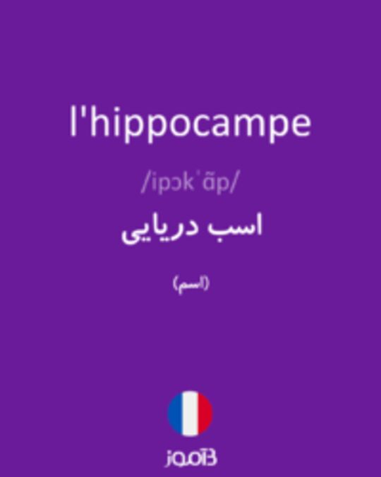  تصویر l'hippocampe - دیکشنری انگلیسی بیاموز