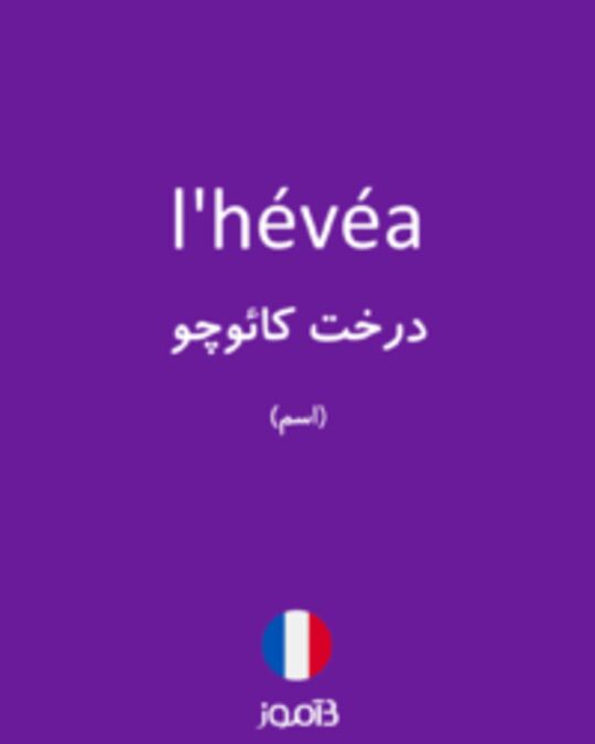  تصویر l'hévéa - دیکشنری انگلیسی بیاموز