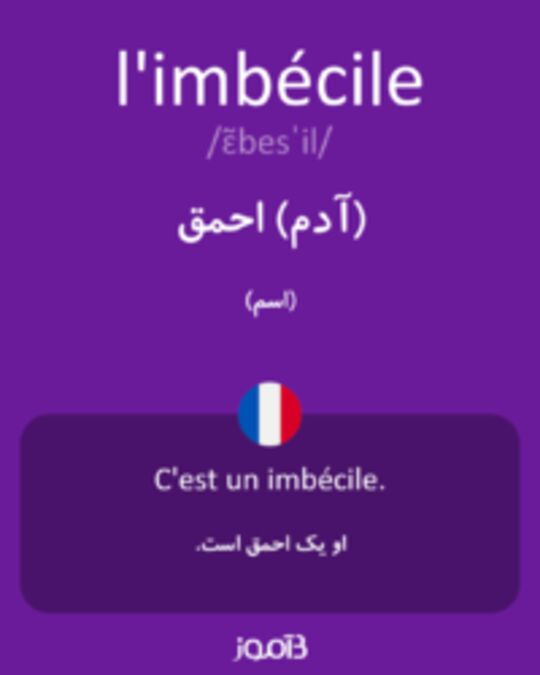  تصویر l'imbécile - دیکشنری انگلیسی بیاموز