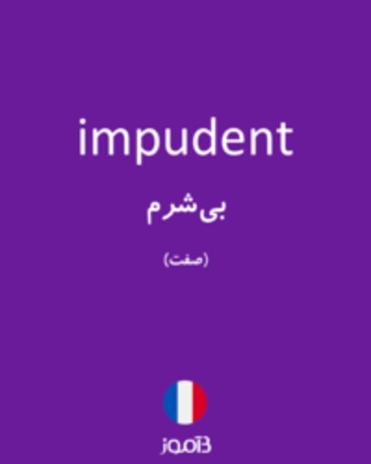  تصویر impudent - دیکشنری انگلیسی بیاموز