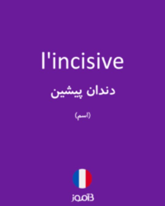  تصویر l'incisive - دیکشنری انگلیسی بیاموز