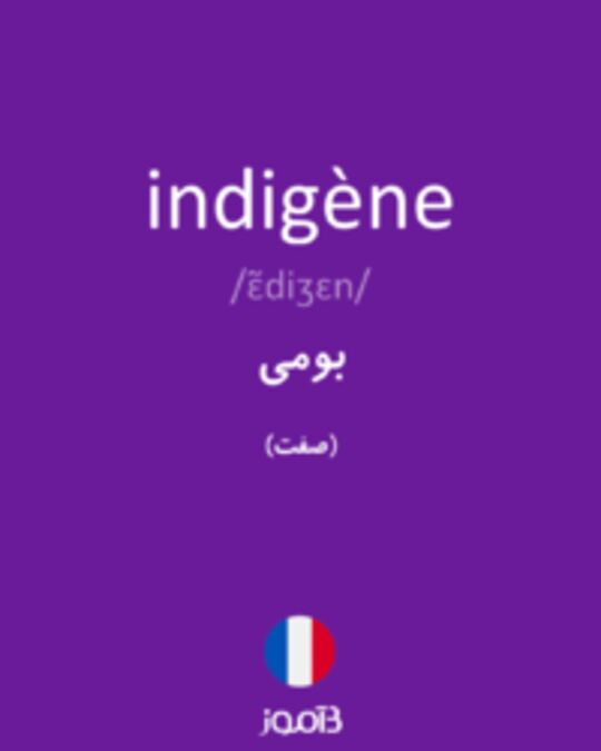  تصویر indigène - دیکشنری انگلیسی بیاموز