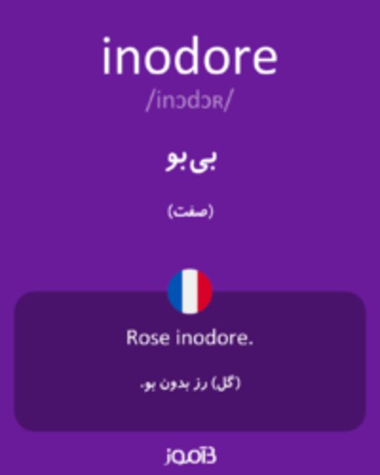  تصویر inodore - دیکشنری انگلیسی بیاموز