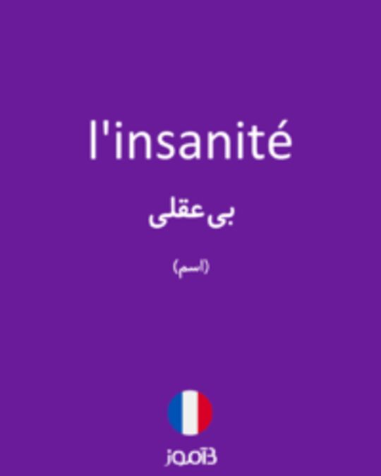  تصویر l'insanité - دیکشنری انگلیسی بیاموز