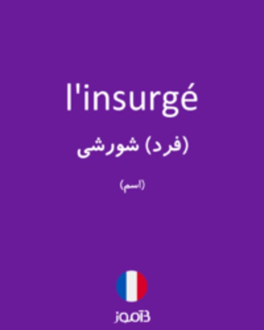  تصویر l'insurgé - دیکشنری انگلیسی بیاموز