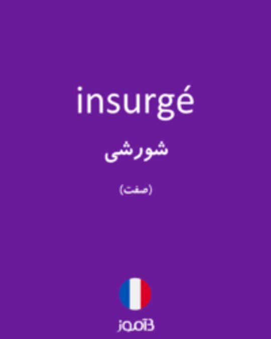  تصویر insurgé - دیکشنری انگلیسی بیاموز