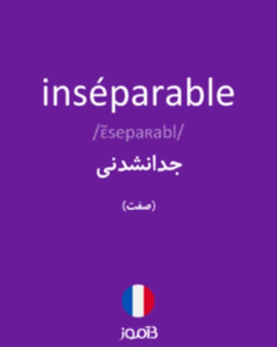  تصویر inséparable - دیکشنری انگلیسی بیاموز