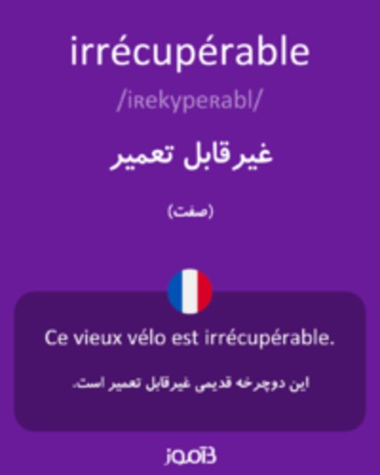  تصویر irrécupérable - دیکشنری انگلیسی بیاموز