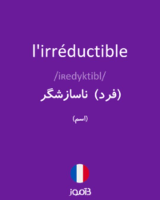  تصویر l'irréductible - دیکشنری انگلیسی بیاموز