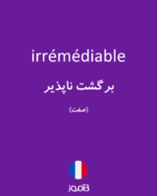  تصویر irrémédiable - دیکشنری انگلیسی بیاموز