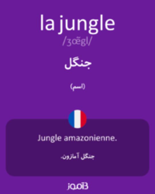  تصویر la jungle - دیکشنری انگلیسی بیاموز