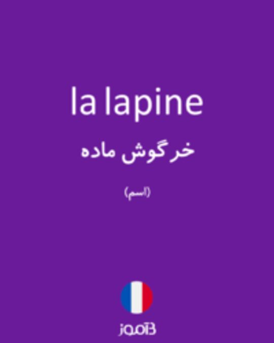  تصویر la lapine - دیکشنری انگلیسی بیاموز