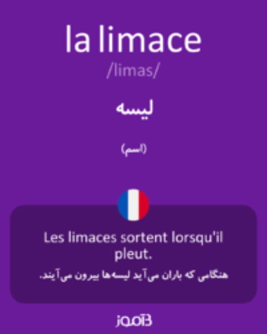  تصویر la limace - دیکشنری انگلیسی بیاموز