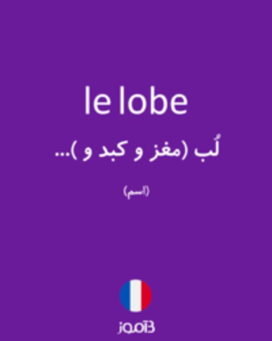  تصویر le lobe - دیکشنری انگلیسی بیاموز