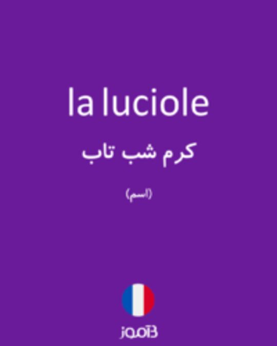  تصویر la luciole - دیکشنری انگلیسی بیاموز