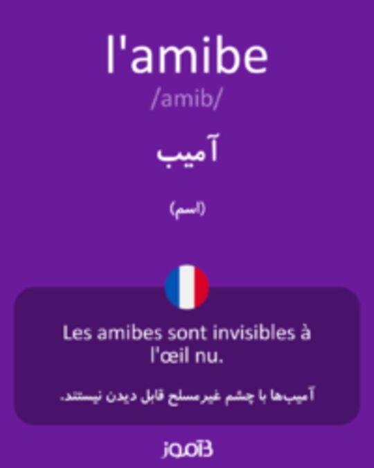  تصویر l'amibe - دیکشنری انگلیسی بیاموز