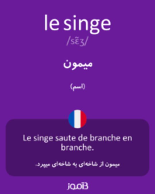  تصویر le singe - دیکشنری انگلیسی بیاموز