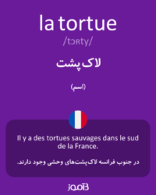  تصویر la tortue - دیکشنری انگلیسی بیاموز