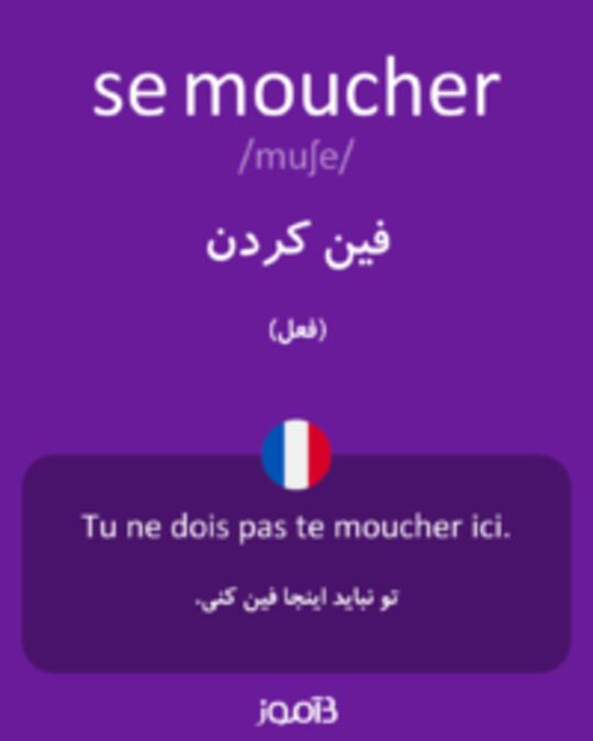  تصویر se moucher - دیکشنری انگلیسی بیاموز