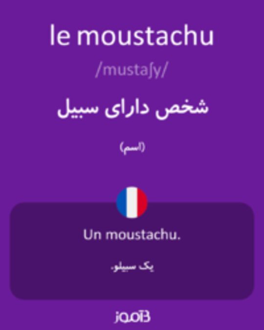  تصویر le moustachu - دیکشنری انگلیسی بیاموز